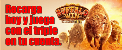 Recarga Diaria Energética promotional banner